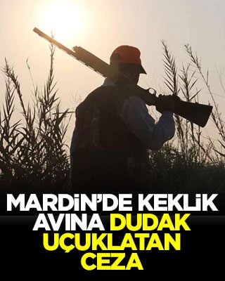 Mardin’de keklik avına dudak uçuklatan ceza