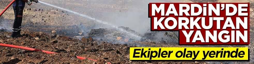 Mardin'de korkutan yangın