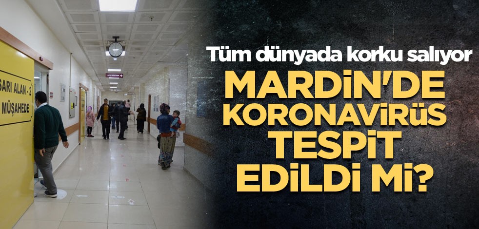 Mardin'de Koronavirüs tespit edildi mi?