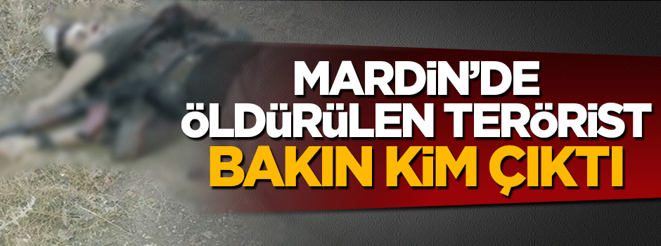 Mardin'de öldürülen terörist bakın kim çıktı!