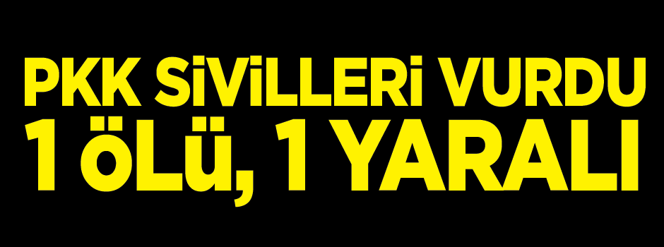 Mardin'de PKK bir eve silahlı saldırı düzenledi: 1 ölü, 1 yaralı