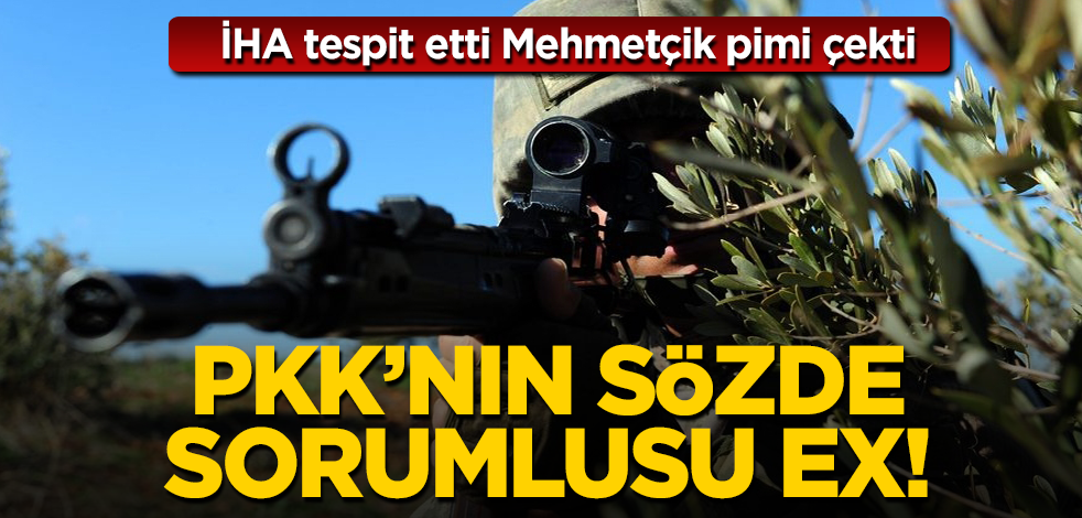 Mardin'de PKK'nın sözde Dargeçit sorumlusu 'Reber' kod adlı öldürüldü