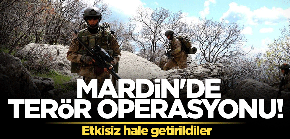 Mardin'de terör operasyonu! Etkisiz hale getirildiler