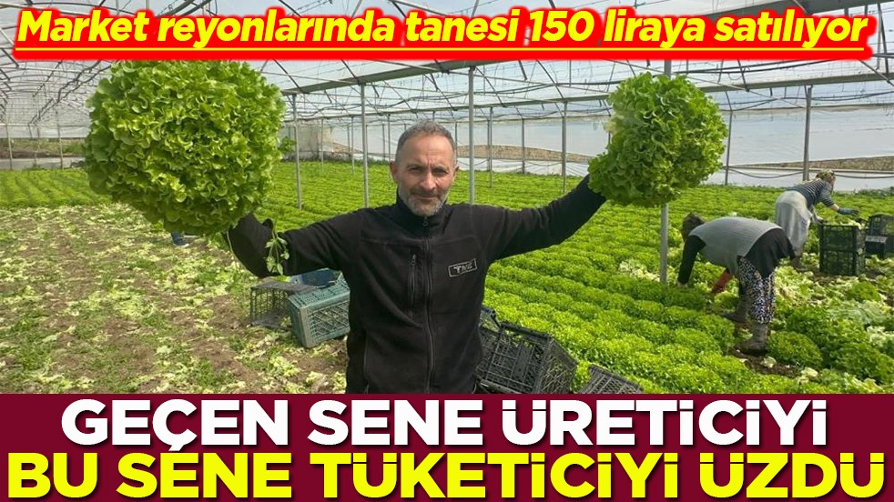Market reyonlarında tanesi 150 liraya satılıyor Geçen sene üreticiyi bu sene tüketiciyi üzdü