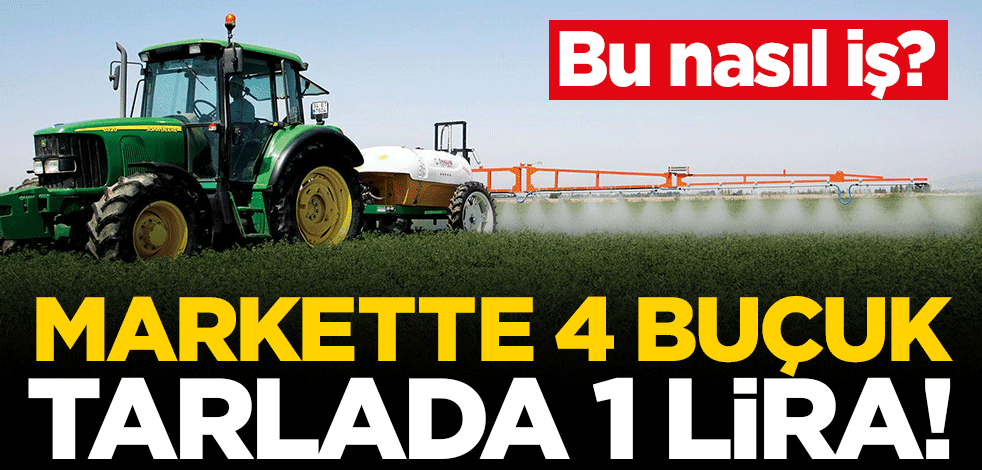 Markette 4 buçuk tarlada 1 lira!