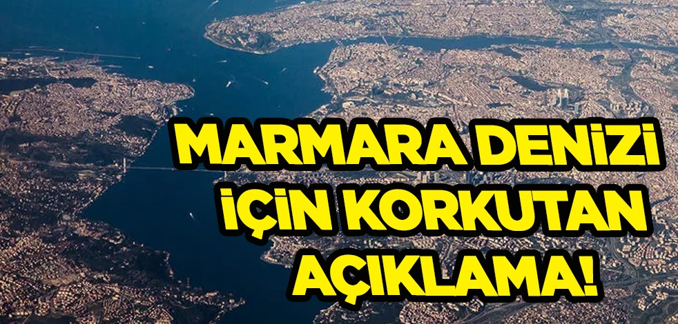 Marmara Denizi için korkutan tablo! Uzmanı uyardı: Tüm biyoçeşitliliği kaybedebiliriz