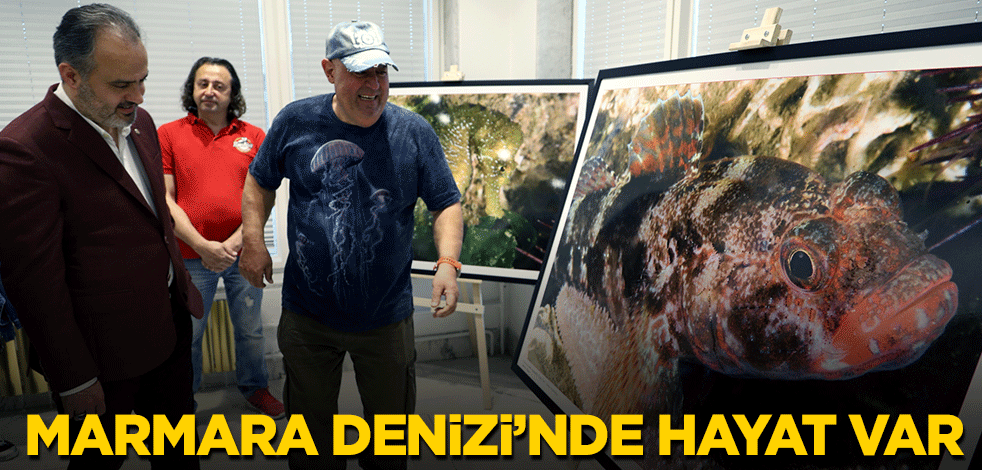 Marmara Denizi’nde hayat var