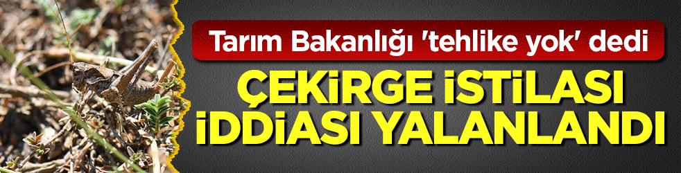 Marmara için çekirge istilası iddiası yalanlandı: Tarım Bakanlığı 'tehlike yok' dedi