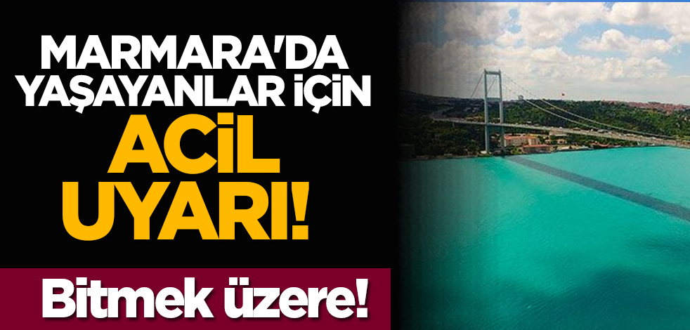 Marmara'da yaşayanlar için acil uyarı! Oksijen bitmek üzere!