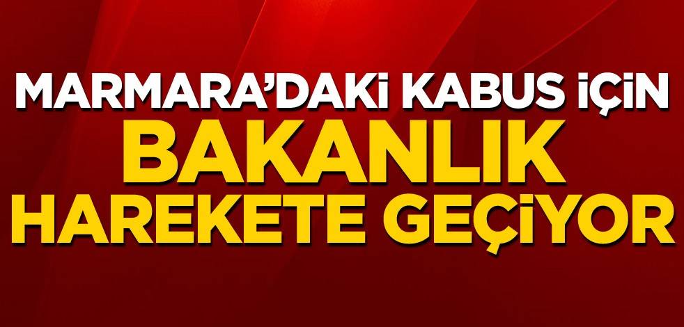 Marmara'daki kabus için Çevre ve Şehircilik Bakanlığı harekete geçiyor