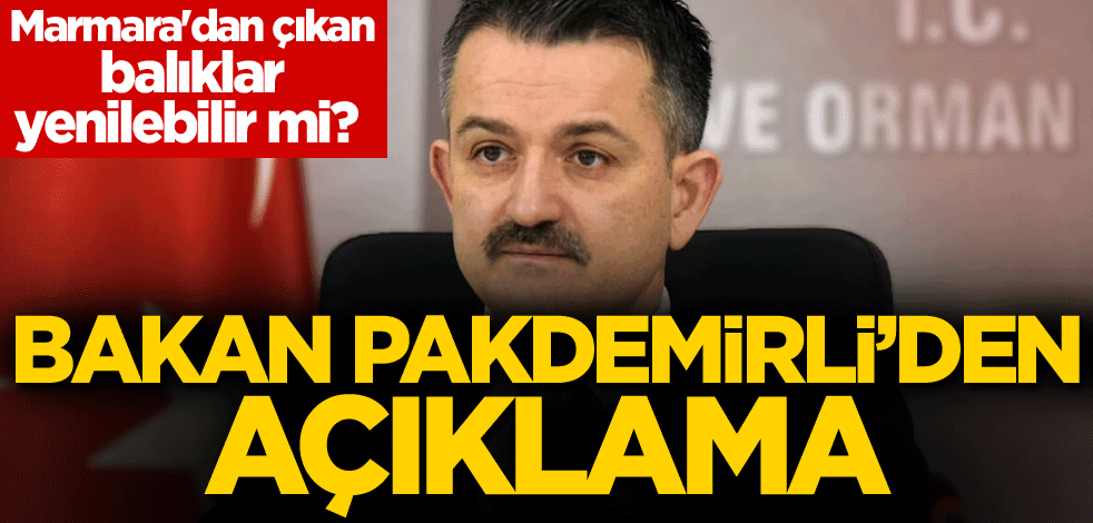 Marmara'dan çıkan balıklar yenilebilir mi? Bakan Pakdemirli'den açıklama