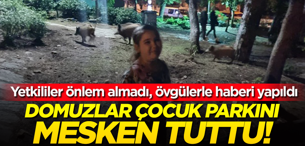 Marmaris'te "domuzlar" çocuk parkını mesken tuttu! Yetkililer önlem almadı, övgülerle haberi yapıldı