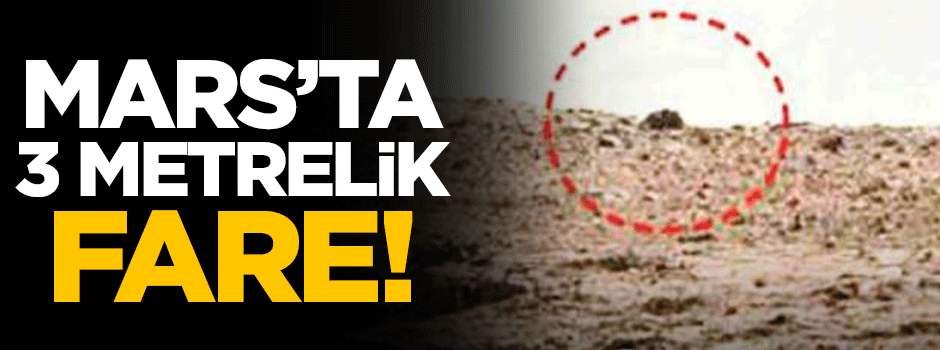 Mars'ta 3 metrelik fare!