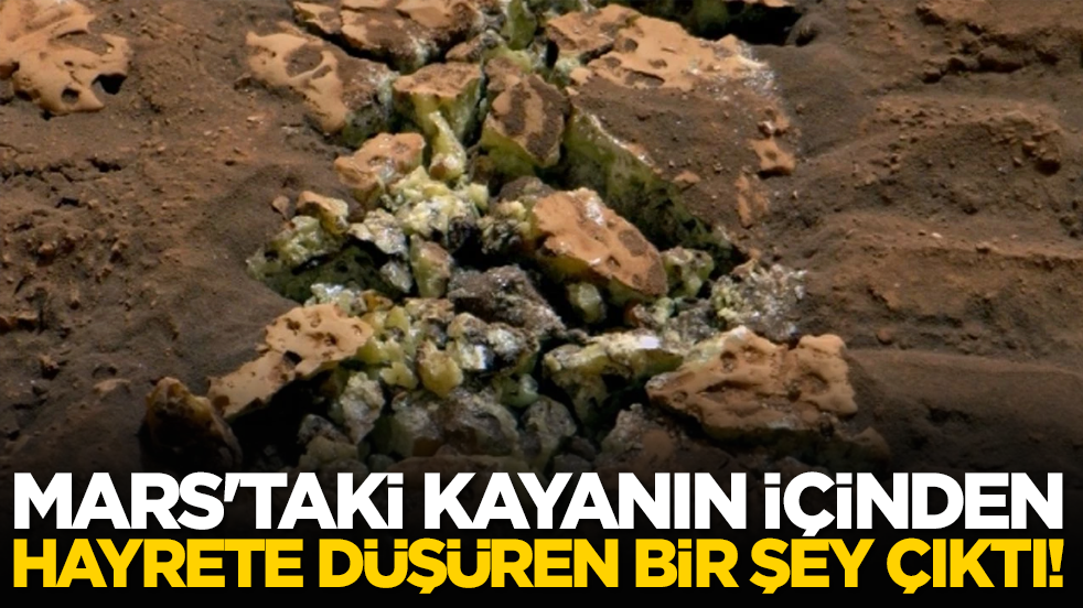 Mars'taki kayanın içinden hayrete düşüren bir şey çıktı!