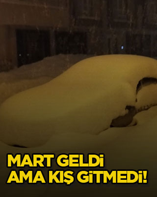 Mart geldi ama kış gitmedi!
