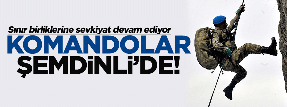 Mavi bereliler Şemdinli'de