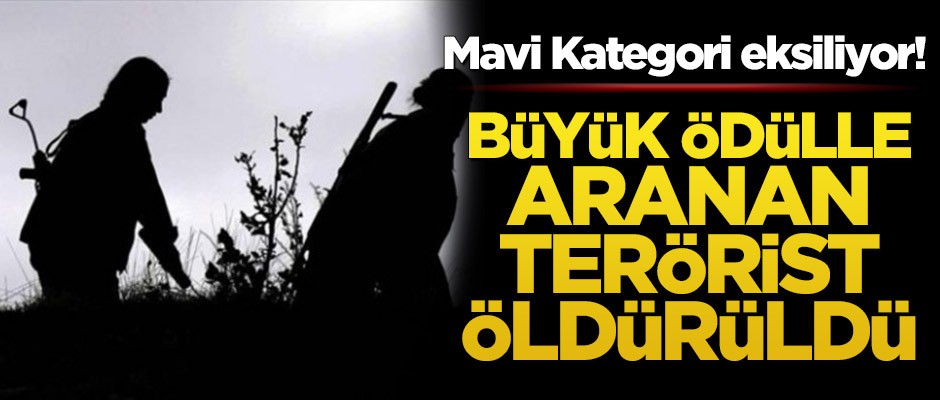Mavi Kategori eksiliyor! Büyük ödülle aranan terörist öldürüldü
