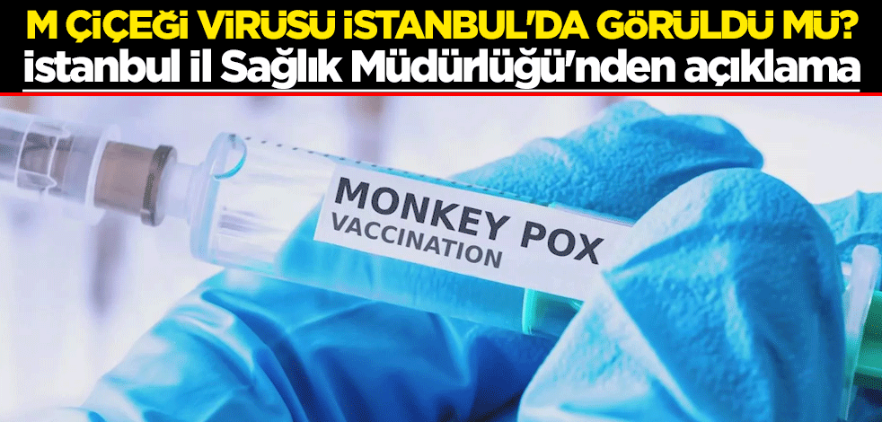Maymun çiçeği - M Çiçeği - virüsü İstanbul'da görüldü mü? İstanbul İl Sağlık Müdürlüğü'nden açıklama