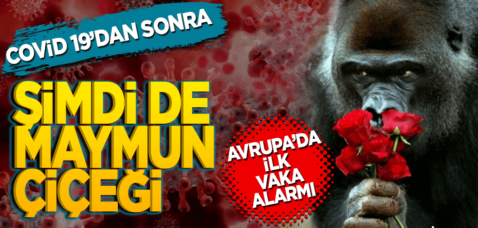 Maymun çiçeği virüsü İsveç'te görüldü