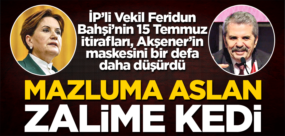 Mazluma aslan, zalime kedi