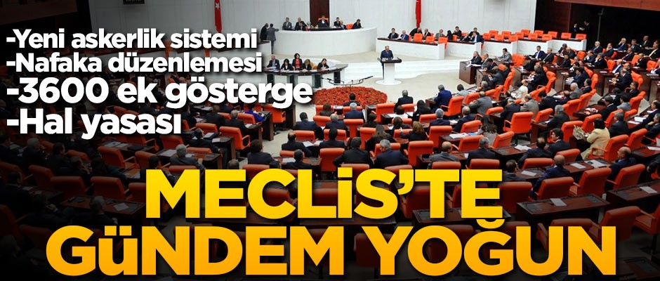 Meclis çalışmaya başladı! Gündem yoğun