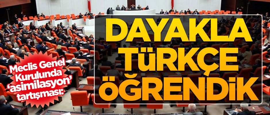 Meclis Genel Kurulunda asimilasyon tartışması: Dayakla Türkçe öğrendik