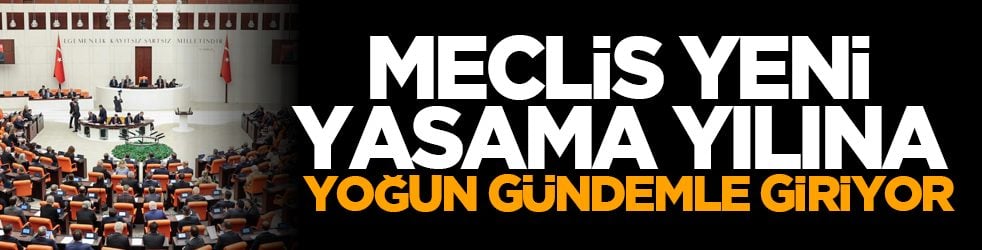 Meclis yeni yasama yılına yoğun gündemle giriyor