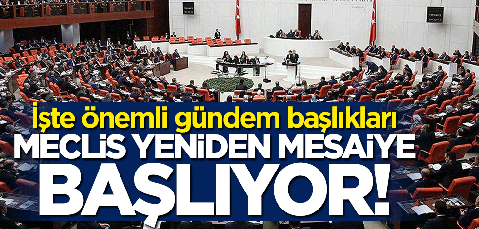 Meclis yeniden mesaiye başlıyor... İşte önemli gündem başlıkları