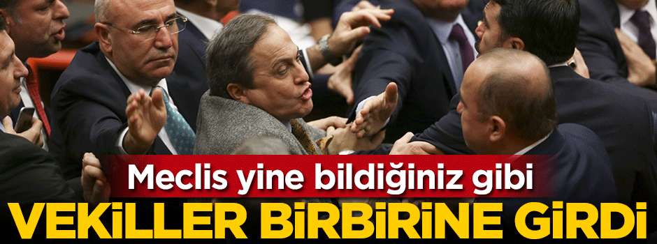 Meclis yine bildiğiniz gibi... Vekiller birbirine girdi