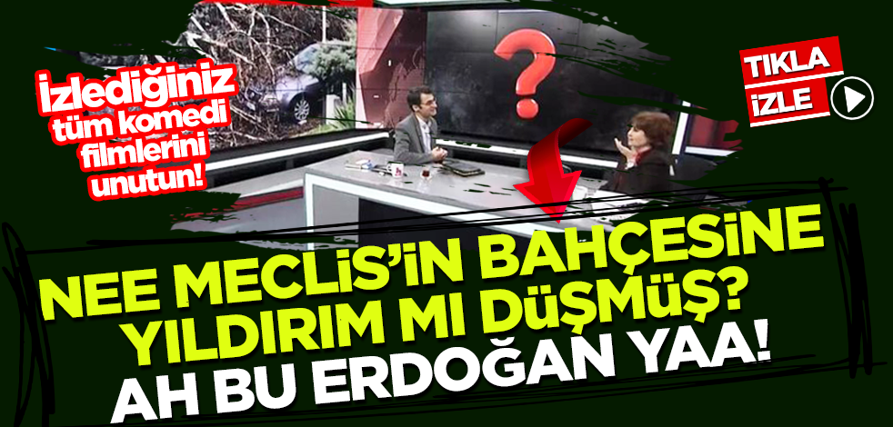 Meclis'e yıldırım düştü, Ayşenur Arslan Erdoğan'ı suçladı!