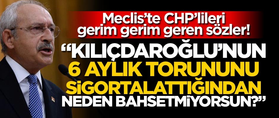 Meclis'te CHP'lileri çıldırtan sözler! Gerim gerim gerildiler