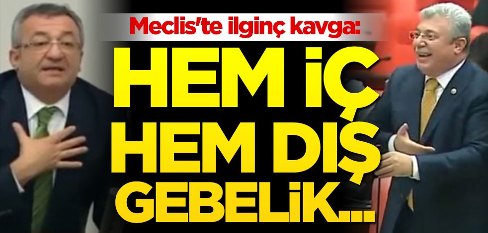 Meclis'te ilginç kavga: Hem iç, hem dış gebelik...