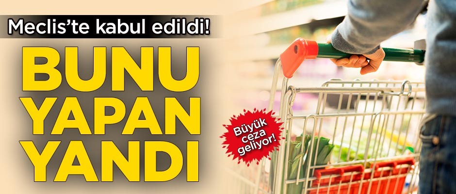 Meclis'te kabul edildi! Bunu yapan yandı