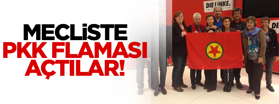 Mecliste PKK paçavrasını açtılar!