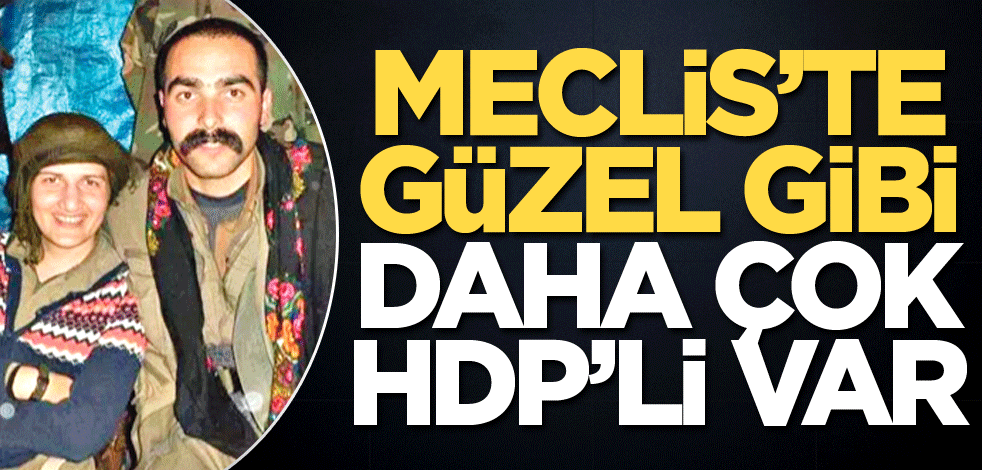Meclis’te Semra gibi daha çok HDP’li var