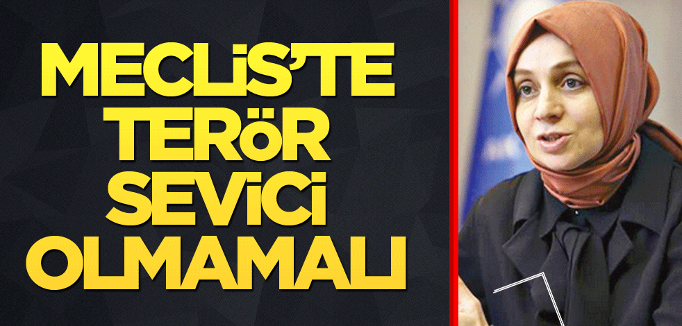 Meclis’te terör sevici olmamalı