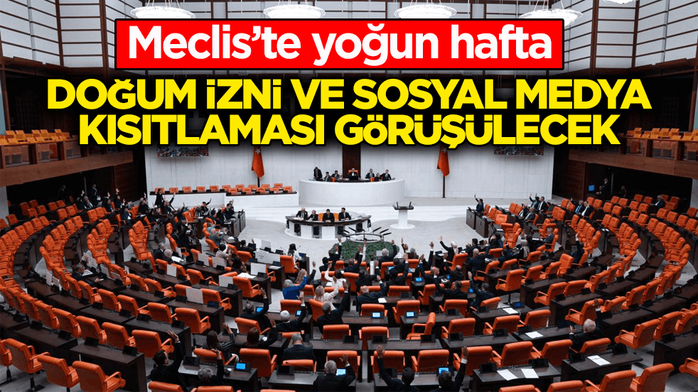 Meclis’te yoğun hafta! Doğum izni ve sosyal medya kısıtlaması görüşülecek