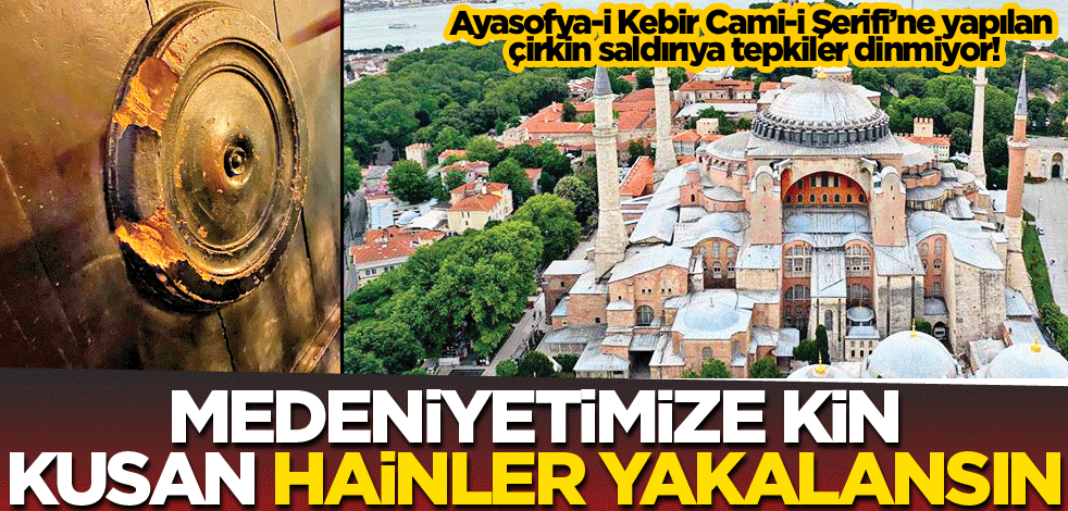Medeniyetimize kin kusan hainler yakalansın