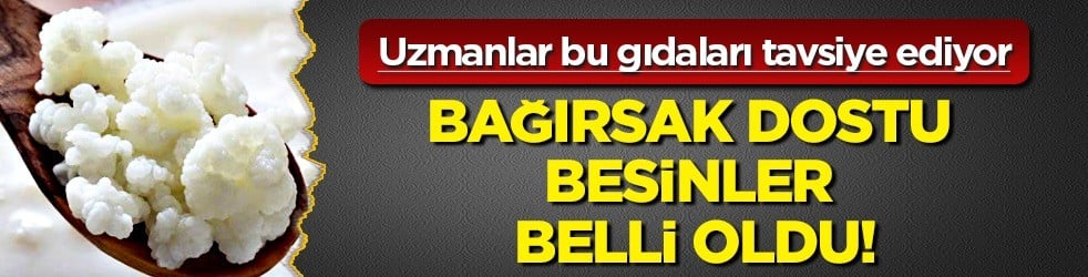 Meğer bağırsak dostu sadece bunlar! Soğan, yoğurt, keten tohumu destekler! Müthiş tavsiye