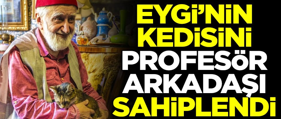 Mehmed Şevket Eygi'nin kedisini, profesör dostu sahiplendi