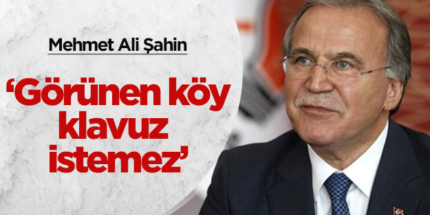 Mehmet Ali Şahin'den kritik köşk açıklaması