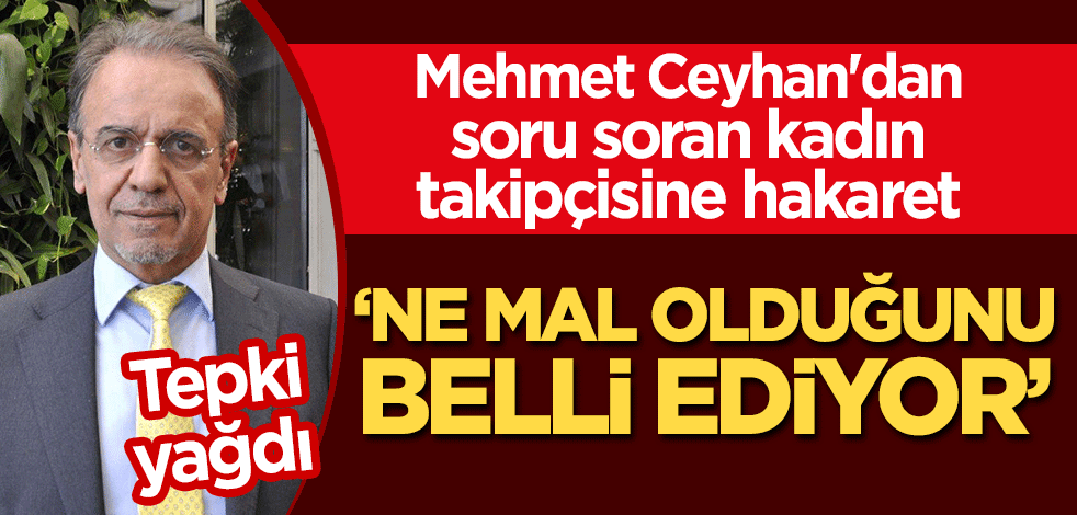 Mehmet Ceyhan'dan soru soran kadın takipçisine hakaret! "Ne mal olduğunu belli ediyorlar"