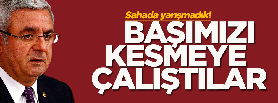 Mehmet Metiner: Başımızı kesmeye çalıştılar