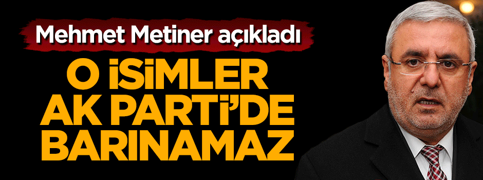 Mehmet Metiner: FETÖ'cüler AK Parti'de barınamaz
