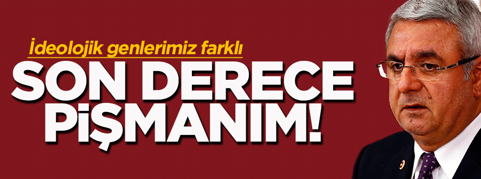 Mehmet Metiner: Son derece pişmanım!