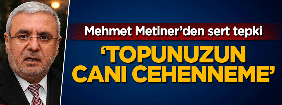 Mehmet Metiner'den sert tepki: Topunuzun canı cehenneme