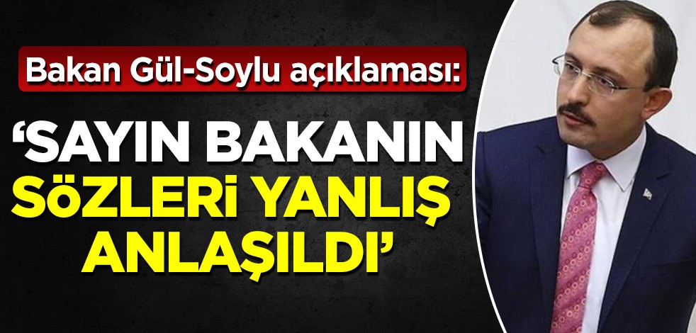 Mehmet Muş açıkladı: Bakan Gül, sayın Soylu'ya cevap vermedi