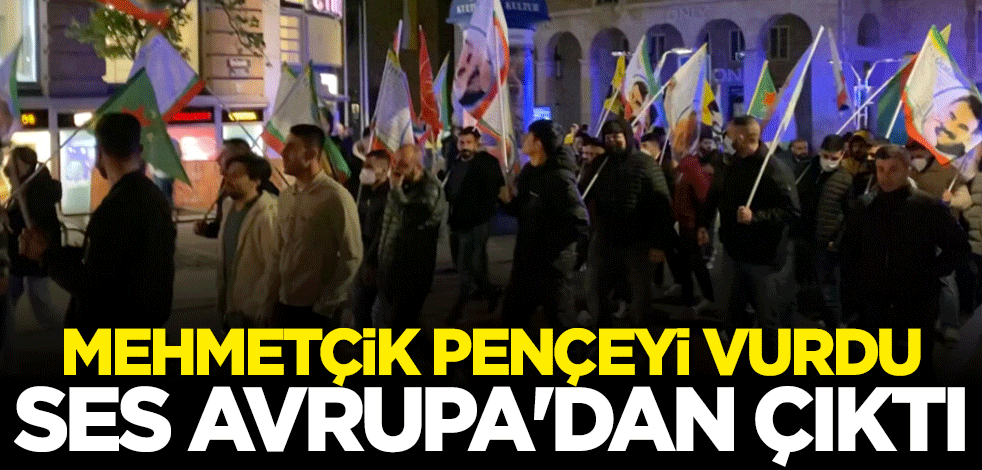 Mehmetçiğin PKK’ya attığı pençenin çığlığı Avrupa’dan yükseliyor