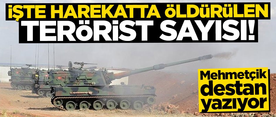 Mehmetçik destan yazıyor! 611 terörist etkisiz hale getirildi