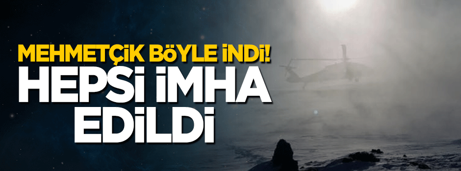 Mehmetçik havadan böyle indi! Hepsi imha edildi